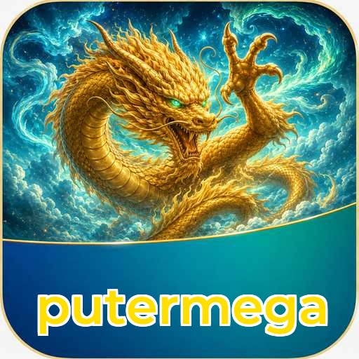 Developer Info putermega